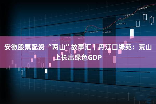 安徽股票配资 “两山”故事汇｜丹江口绿苑：荒山上长出绿色GDP