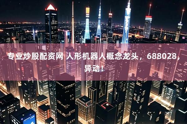专业炒股配资网 人形机器人概念龙头，688028，异动！